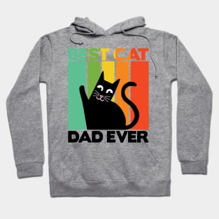 Best Cat Dad Ever Retro Vintage Daddy Gift Cats Hoodie